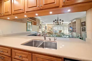 2300 Gulf Blvd, Belleair Beach, FL 33786 - Photo 23