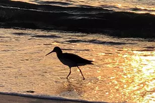 100 Bluff View Dr, Belleair Bluffs, FL 33770 - Photo 37