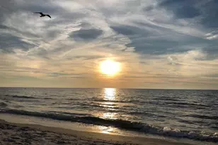 100 Bluff View Dr, Belleair Bluffs, FL 33770 - Photo 13