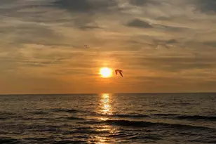 100 Bluff View Dr, Belleair Bluffs, FL 33770 - Photo 27