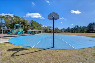 8756 Hampden Dr, Tampa, FL 33626 - Photo 39