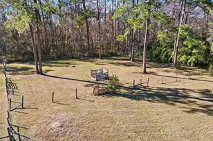 1054 Ranch Rd, Tarpon Springs, FL 34688 - Photo 29