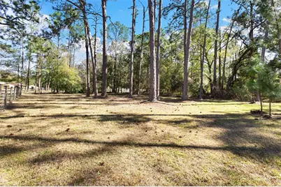 1054 Ranch Road, Tarpon Springs, FL 34688 - Photo 43