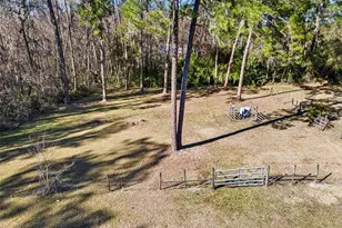 1054 Ranch Rd, Tarpon Springs, FL 34688 - Photo 27