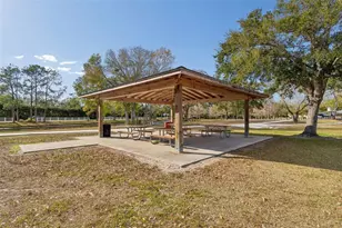 15903 Mystic Way, Tampa, FL 33624 - Photo 79