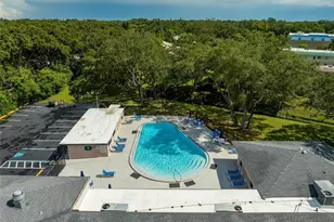 2552 Bramblewood Dr W, Clearwater, FL 33763 - Photo 41