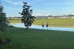 10958 Rustic Timber Loop, San Antonio, FL 33576 - Photo 39