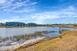 13247 Dupree Hills Pl, Riverview, FL 33579 - Photo 25