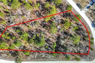 16070 Sheldrake Loop, Weeki Wachee, FL 34614 - Photo 1