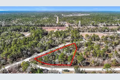 16070 Sheldrake Loop, Weeki Wachee, FL 34614 - Photo 5