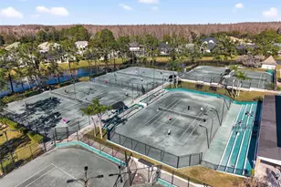 4311 Ave Cannes, Lutz, FL 33558 - Photo 45