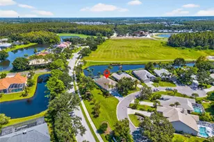 4311 Ave Cannes, Lutz, FL 33558 - Photo 41