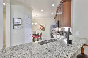 332 Bluewater Falls Ct, Apollo Beach, FL 33572 - Photo 13