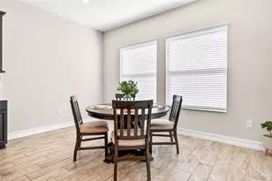 33142 Cypress Bend, Wesley Chapel, FL 33545 - Photo 23