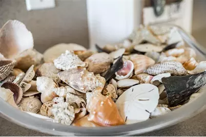 60 Gulf Boulevard #203, Indian Rocks Beach, FL 33785 - Photo 39