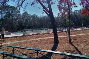 14 Carnation Ct, Homosassa, FL 34446 - Photo 59