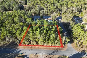 3153 E May St, Inverness, FL 34453 - Photo 1