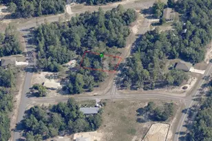 11150 N Edna Terrace, Citrus Springs, FL 34433 - Photo 1