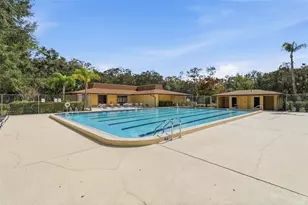 11808 Raintree Lake Ln, Tampa, FL 33617 - Photo 19