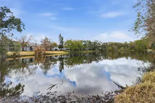 11808 Raintree Lake Ln, Tampa, FL 33617 - Photo 21