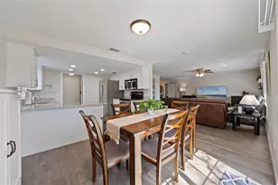 7212 Lunita Ct, Tampa, FL 33625 - Photo 21