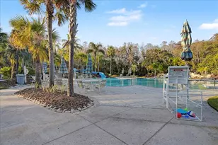 16204 Hampton Trace Ct, Tampa, FL 33647 - Photo 71