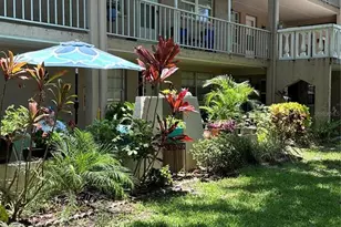 821 Patricia Ave, Dunedin, FL 34698 - Photo 21