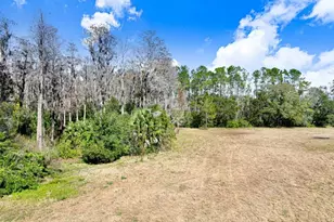 17308 Tobacco Rd, Lutz, FL 33558 - Photo 33