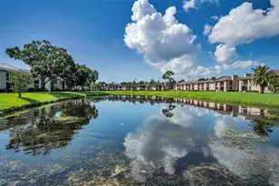 103 Lakeview Pl, Oldsmar, FL 34677 - Photo 25