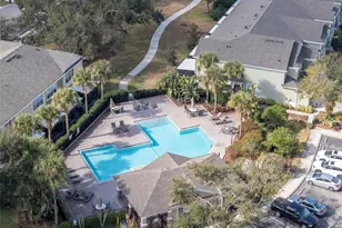 10132 Pink Palmata Ct, Riverview, FL 33578 - Photo 35