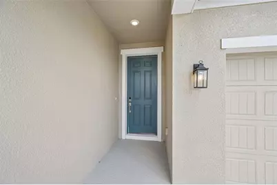 5924 Fresh Flora Drive, Wimauma, FL 33598 - Photo 3