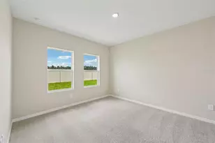 5924 Fresh Flora Dr, Wimauma, FL 33598 - Photo 11
