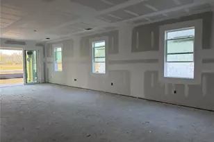 5918 Fresh Flora Dr, Wimauma, FL 33598 - Photo 7