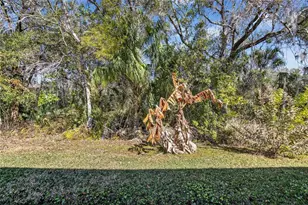 2819 Holly Bluff Ct, Plant City, FL 33566 - Photo 37