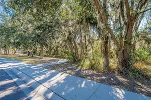 2819 Holly Bluff Ct, Plant City, FL 33566 - Photo 45