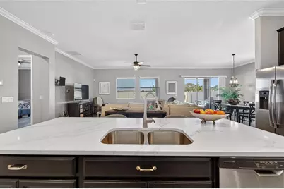 16810 Scuba Crest Street, Wimauma, FL 33598 - Photo 61