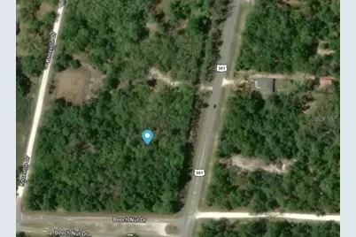 7445 Treiman Boulevard, Ridge Manor Estates, FL 33597 - Photo 1