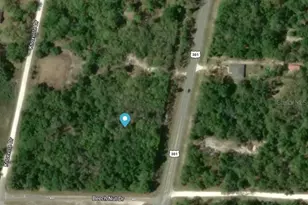 7445 Treiman Blvd, Ridge Manor Estates, FL 33597 - Photo 1