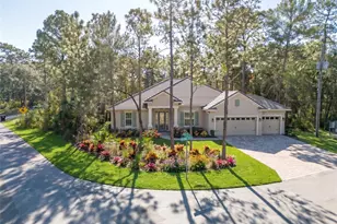 30 Bells of Ireland Ct, Homosassa, FL 34446 - Photo 3