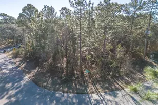 30 Bells of Ireland Ct, Homosassa, FL 34446 - Photo 3