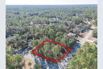 30 Bells Of Ireland Court, Homosassa, FL 34446 - Photo 5