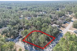 30 Bells of Ireland Ct, Homosassa, FL 34446 - Photo 5