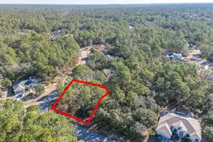 30 Bells of Ireland Ct, Homosassa, FL 34446 - Photo 9