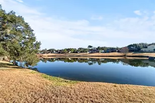 4518 Oak River Cir, Valrico, FL 33596 - Photo 3