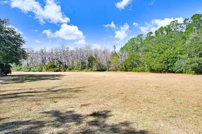 1st, Lutz, FL 33558 - Photo 9