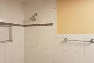 2921 W Walnut St, Tampa, FL 33607 - Photo 9