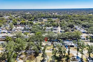 207 Lentz Rd, Brandon, FL 33510 - Photo 79