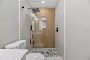 207 Lentz Rd, Brandon, FL 33510 - Photo 51