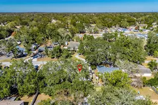 207 Lentz Rd, Brandon, FL 33510 - Photo 93