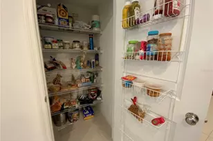 10823 Ft White Ct, Tampa, FL 33647 - Photo 9